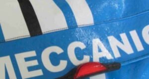 Sai quanti pedoni vengono investiti ogni giorno?